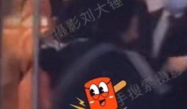 刘大锤爆料今日视频,揭秘今日热门视频背后的惊人真相！